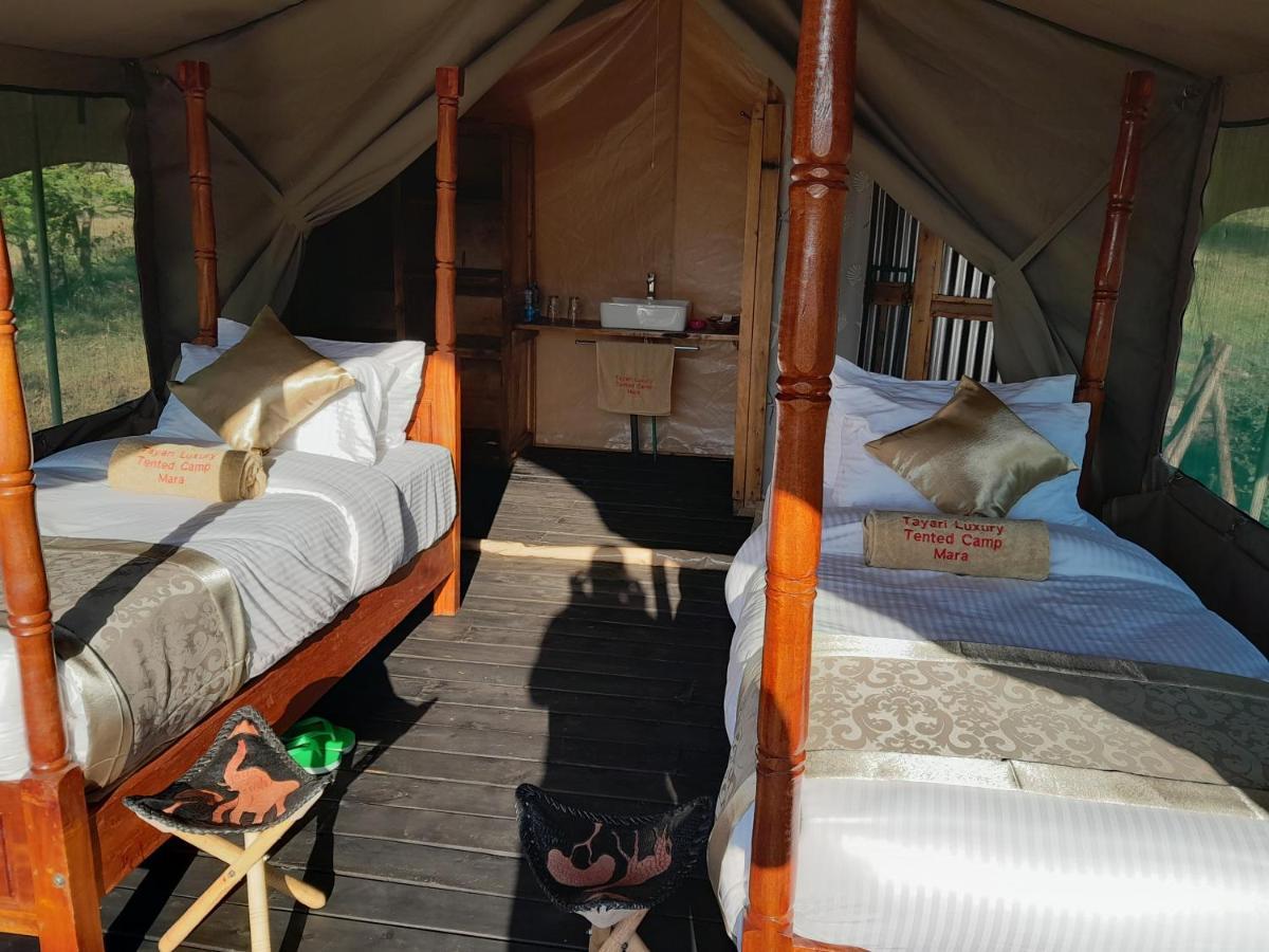 Tayari Luxury Tented Camp - Mara Sekenani Exteriör bild