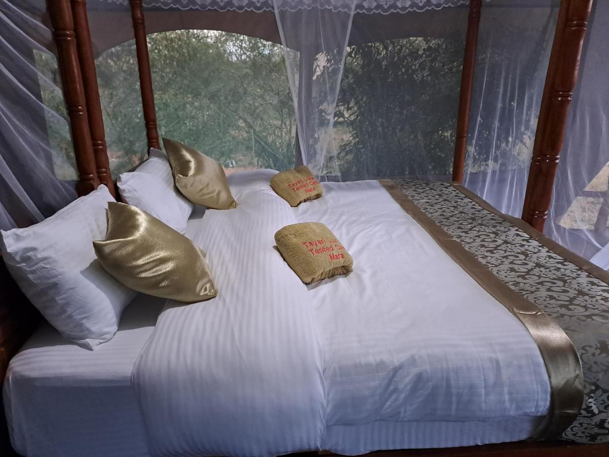 Tayari Luxury Tented Camp - Mara Sekenani Exteriör bild