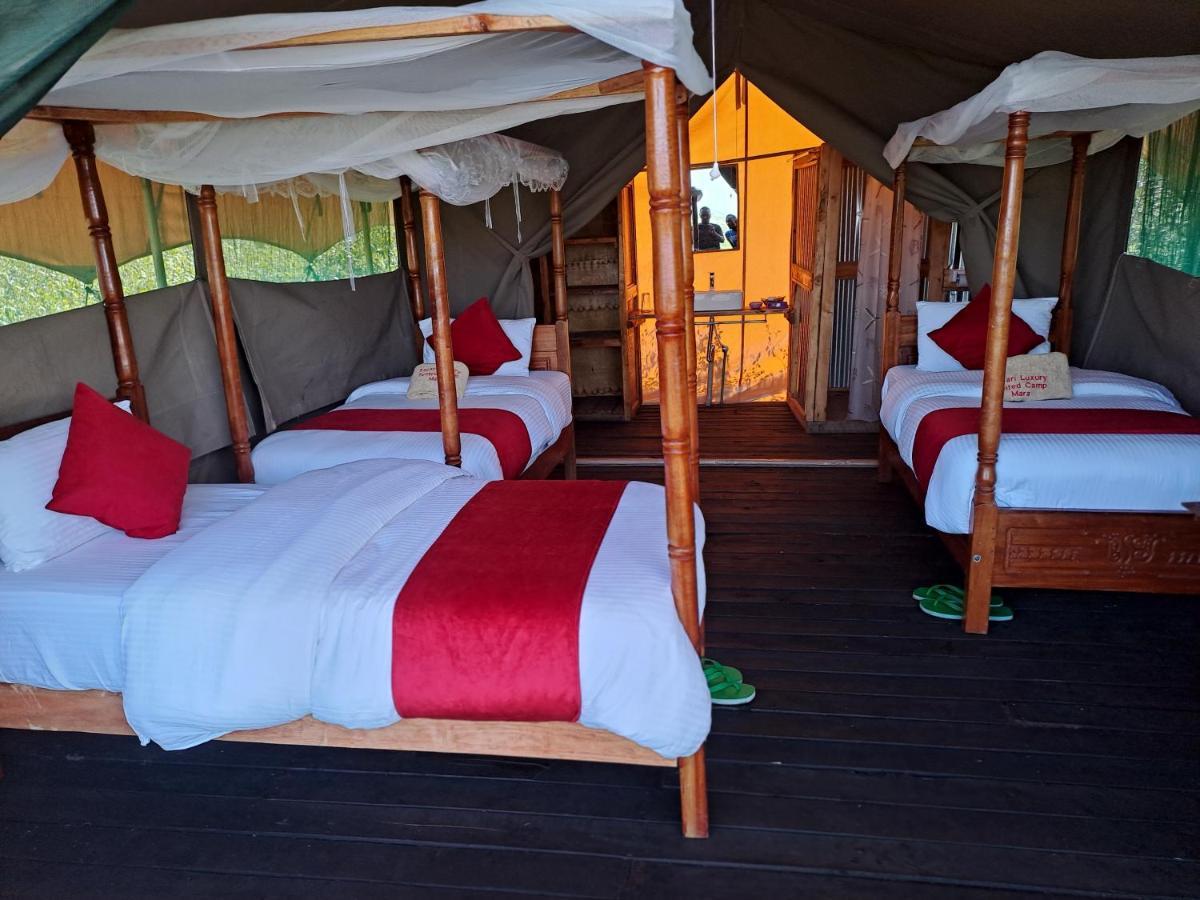 Tayari Luxury Tented Camp - Mara Sekenani Exteriör bild